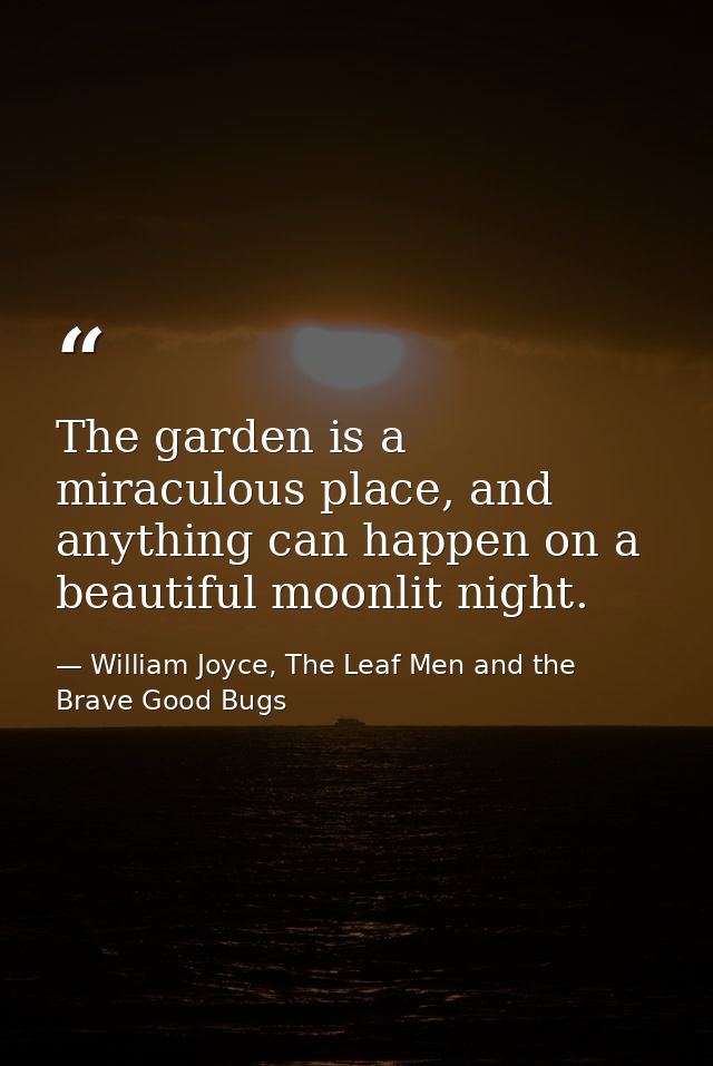 The garden is a miraculous place, and anything can happen on a beautiful moonlit night. — William Joyce, The Leaf Men and the Brave Good Bugs