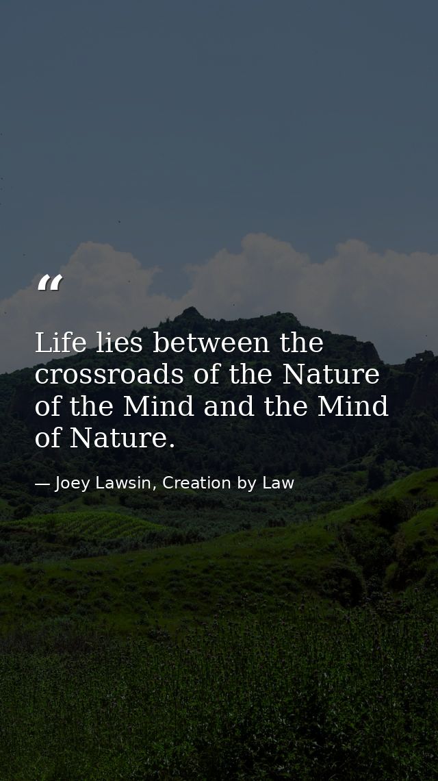 Life lies between the crossroads of the Nature of the Mind and the Mind of Nature. — Joey Lawsin, Creation by Law