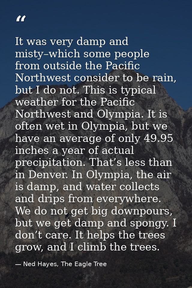 It was very damp and misty–which some people from outside the Pacific Northwest consider to be rain, but I do not. This  — Ned Hayes, The Eagle Tree