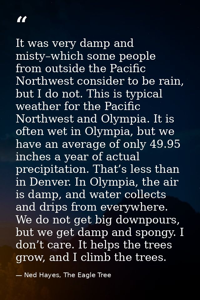 It was very damp and misty–which some people from outside the Pacific Northwest consider to be rain, but I do not. This  — Ned Hayes, The Eagle Tree