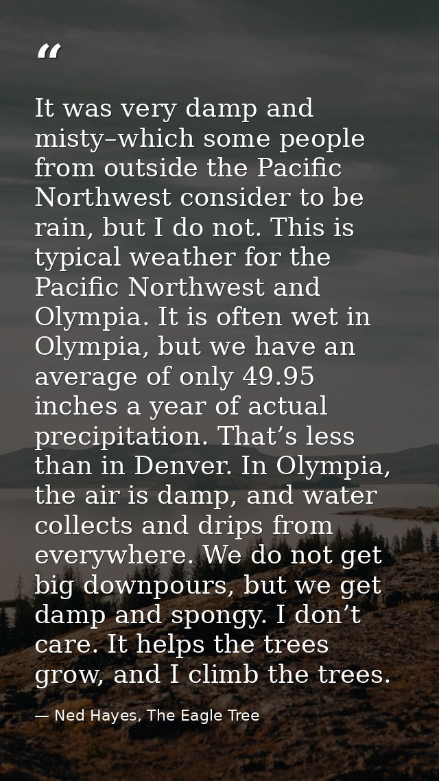 It was very damp and misty–which some people from outside the Pacific Northwest consider to be rain, but I do not. This  — Ned Hayes, The Eagle Tree