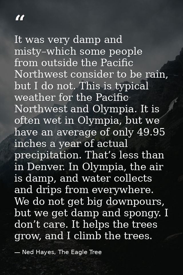 It was very damp and misty–which some people from outside the Pacific Northwest consider to be rain, but I do not. This  — Ned Hayes, The Eagle Tree
