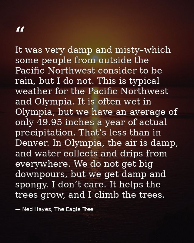 It was very damp and misty–which some people from outside the Pacific Northwest consider to be rain, but I do not. This  — Ned Hayes, The Eagle Tree