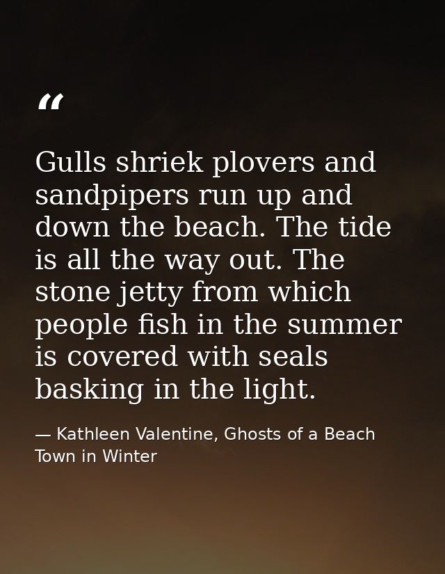 Gulls shriek plovers and sandpipers run up and down the beach. The tide is all the way out. The stone jetty from which p — Kathleen Valentine, Ghosts of a Beach Town in Winter