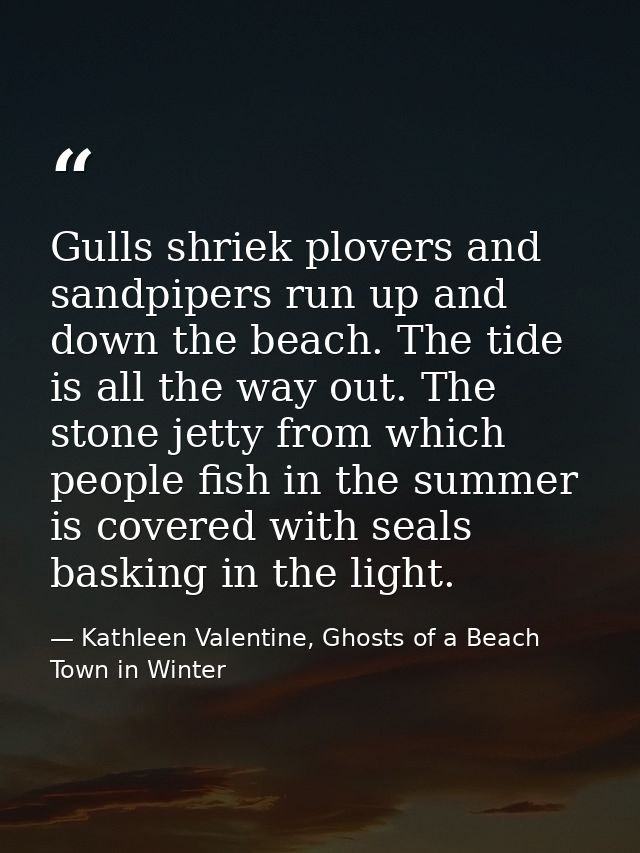 Gulls shriek plovers and sandpipers run up and down the beach. The tide is all the way out. The stone jetty from which p — Kathleen Valentine, Ghosts of a Beach Town in Winter