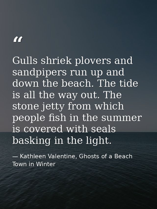 Gulls shriek plovers and sandpipers run up and down the beach. The tide is all the way out. The stone jetty from which p — Kathleen Valentine, Ghosts of a Beach Town in Winter