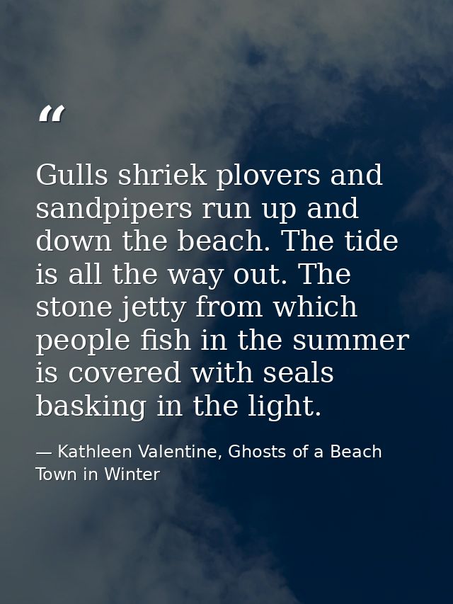 Gulls shriek plovers and sandpipers run up and down the beach. The tide is all the way out. The stone jetty from which p — Kathleen Valentine, Ghosts of a Beach Town in Winter