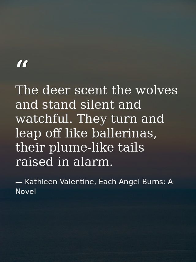 The deer scent the wolves and stand silent and watchful. They turn and leap off like ballerinas, their plume-like tails  — Kathleen Valentine, Each Angel Burns: A Novel
