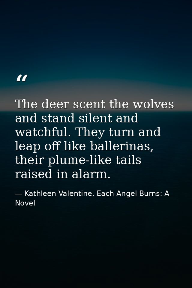 The deer scent the wolves and stand silent and watchful. They turn and leap off like ballerinas, their plume-like tails  — Kathleen Valentine, Each Angel Burns: A Novel
