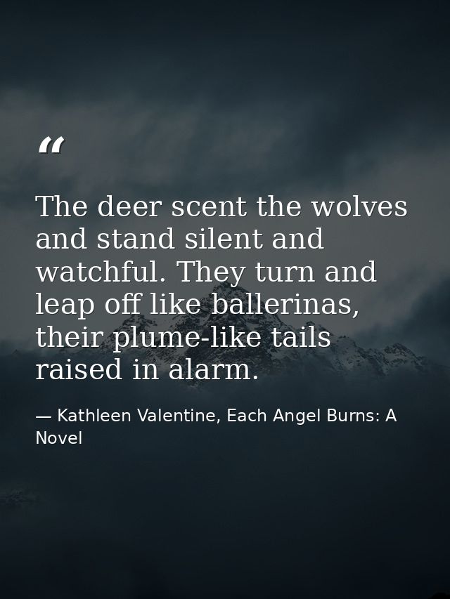 The deer scent the wolves and stand silent and watchful. They turn and leap off like ballerinas, their plume-like tails  — Kathleen Valentine, Each Angel Burns: A Novel