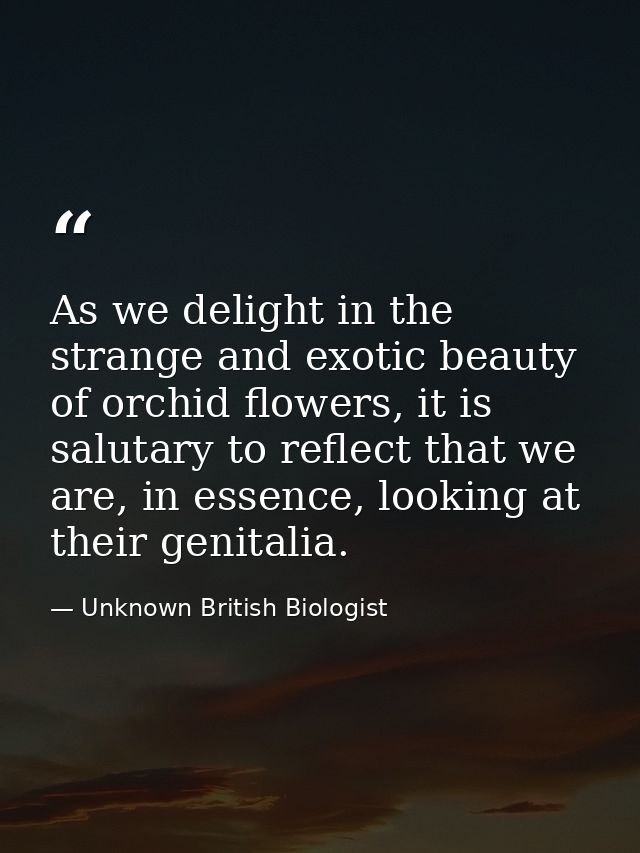 As we delight in the strange and exotic beauty of orchid flowers, it is salutary to reflect that we are, in essence, loo — Unknown British Biologist