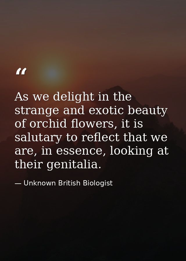 As we delight in the strange and exotic beauty of orchid flowers, it is salutary to reflect that we are, in essence, loo — Unknown British Biologist