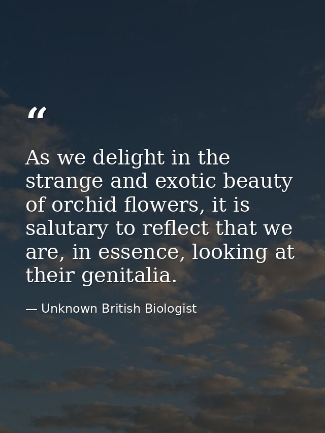 As we delight in the strange and exotic beauty of orchid flowers, it is salutary to reflect that we are, in essence, loo — Unknown British Biologist