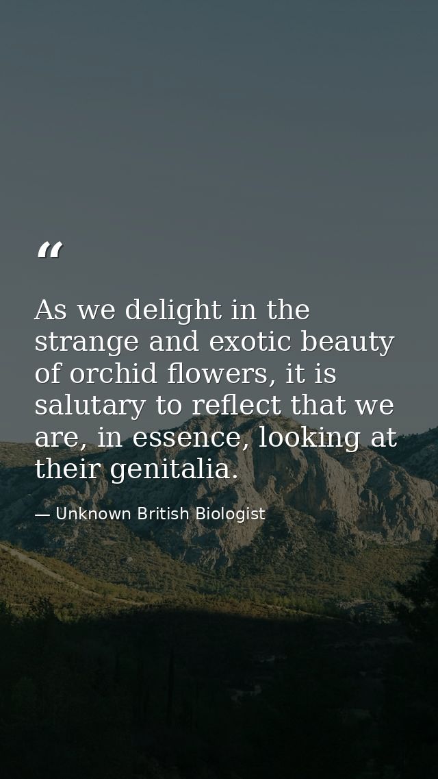 As we delight in the strange and exotic beauty of orchid flowers, it is salutary to reflect that we are, in essence, loo — Unknown British Biologist