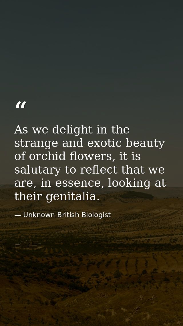 As we delight in the strange and exotic beauty of orchid flowers, it is salutary to reflect that we are, in essence, loo — Unknown British Biologist