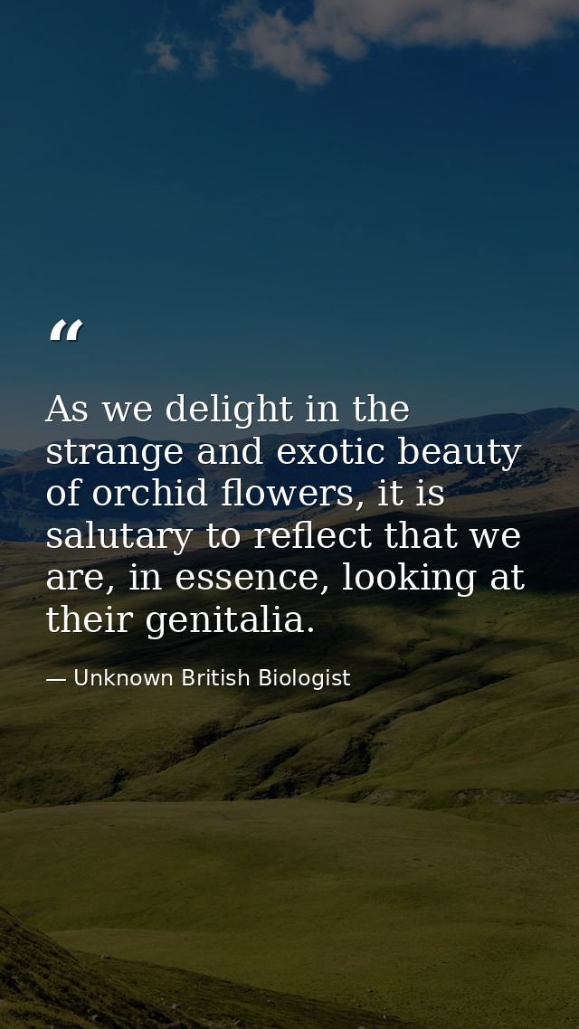 As we delight in the strange and exotic beauty of orchid flowers, it is salutary to reflect that we are, in essence, loo — Unknown British Biologist