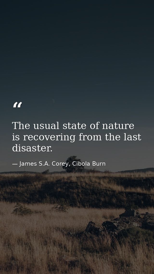 The usual state of nature is recovering from the last disaster. — James S.A. Corey, Cibola Burn