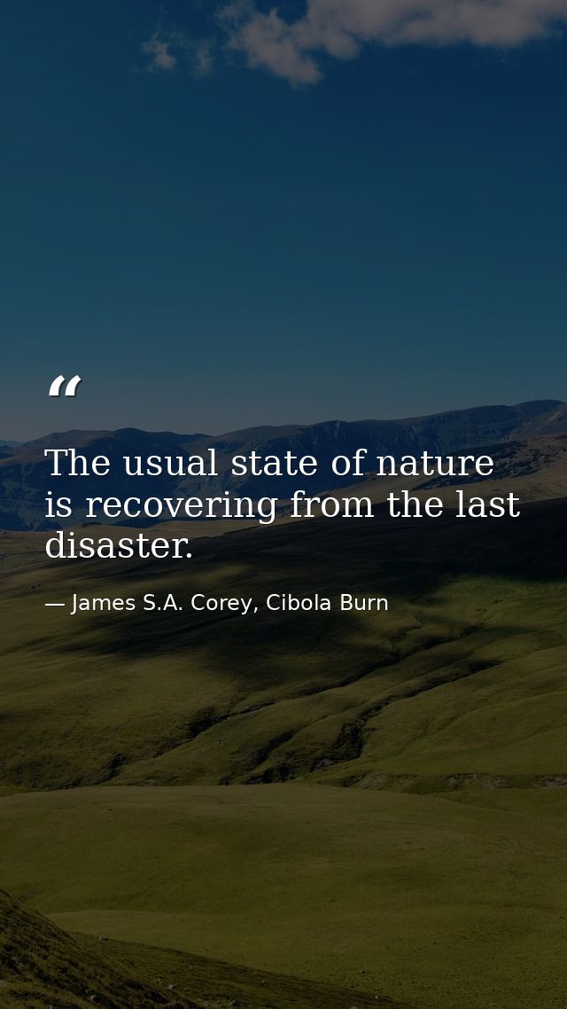 The usual state of nature is recovering from the last disaster. — James S.A. Corey, Cibola Burn