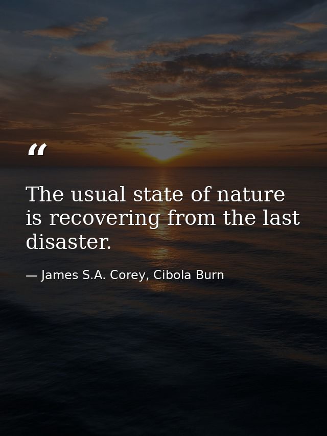 The usual state of nature is recovering from the last disaster. — James S.A. Corey, Cibola Burn