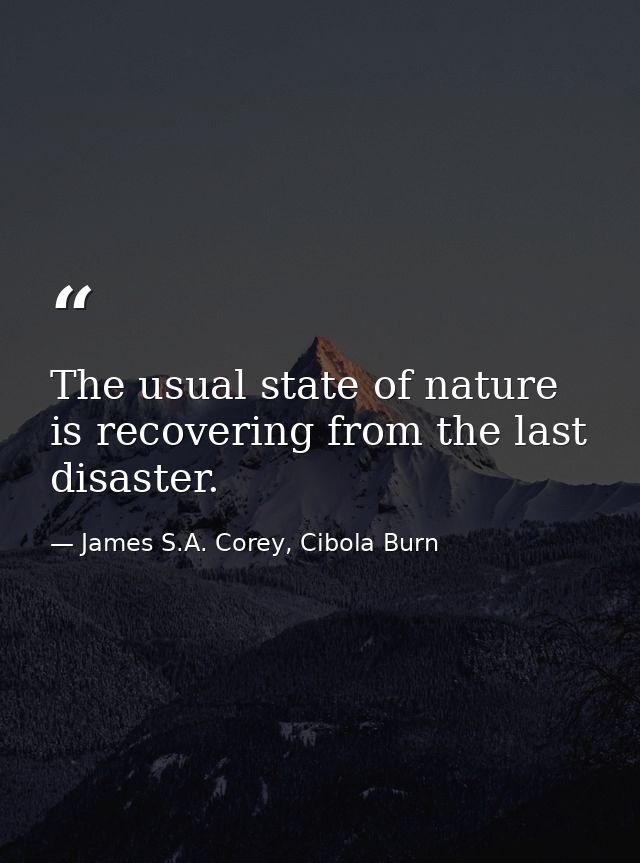 The usual state of nature is recovering from the last disaster. — James S.A. Corey, Cibola Burn