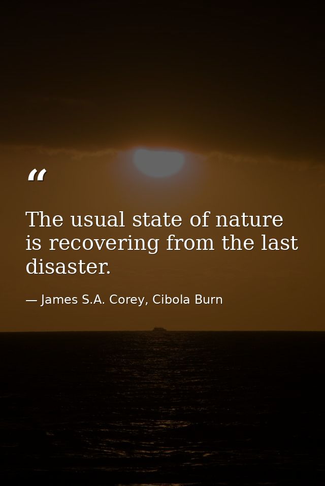 The usual state of nature is recovering from the last disaster. — James S.A. Corey, Cibola Burn
