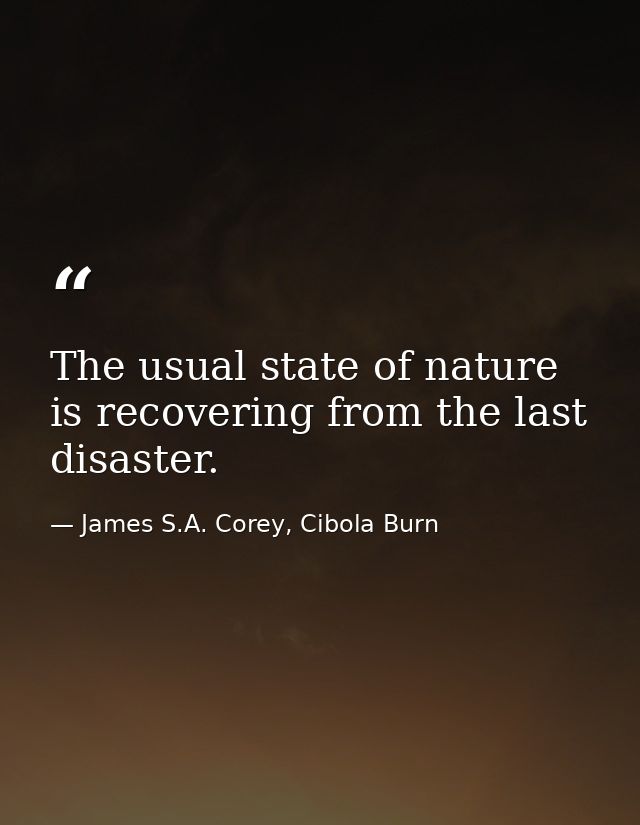 The usual state of nature is recovering from the last disaster. — James S.A. Corey, Cibola Burn