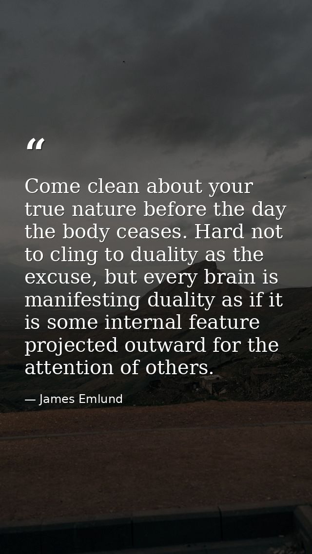 Come clean about your true nature before the day the body ceases. Hard not to cling to duality as the excuse, but every  — James Emlund