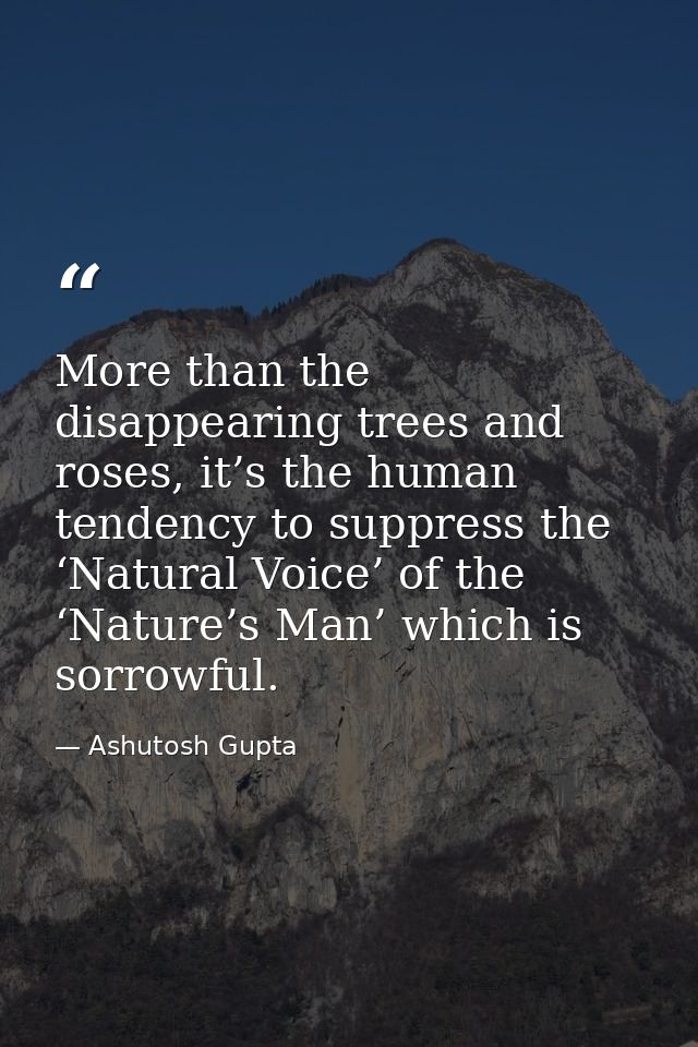 More than the disappearing trees and roses, it’s the human tendency to suppress the ‘Natural Voice’ of the ‘Nature’s Man — Ashutosh Gupta