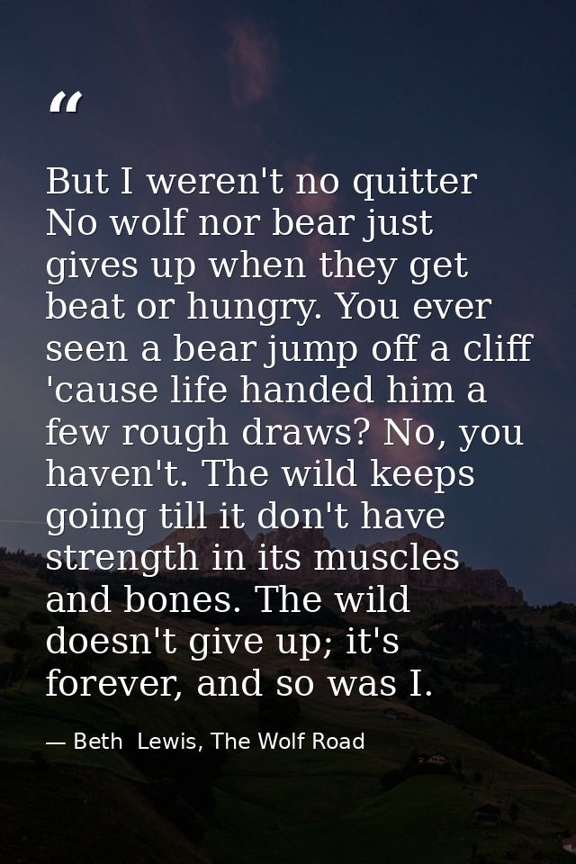 But I weren't no quitter No wolf nor bear just gives up when they get beat or hungry. You ever seen a bear jump off a cl — Beth  Lewis, The Wolf Road