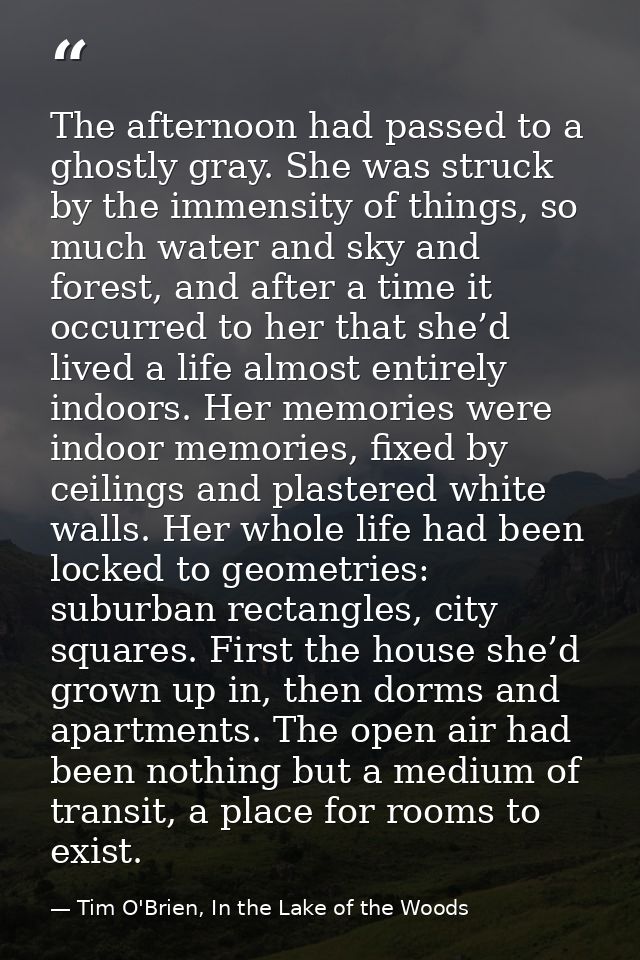 The afternoon had passed to a ghostly gray. She was struck by the immensity of things, so much water and sky and forest, — Tim O'Brien, In the Lake of the Woods
