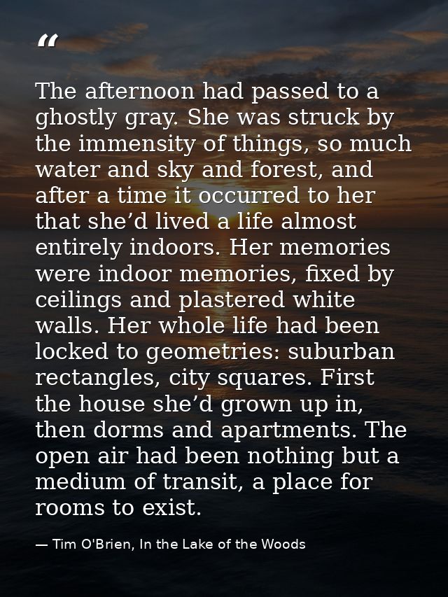 The afternoon had passed to a ghostly gray. She was struck by the immensity of things, so much water and sky and forest, — Tim O'Brien, In the Lake of the Woods