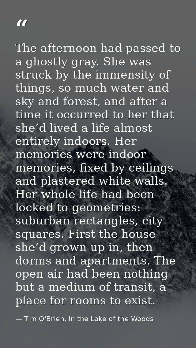 The afternoon had passed to a ghostly gray. She was struck by the immensity of things, so much water and sky and forest, — Tim O'Brien, In the Lake of the Woods