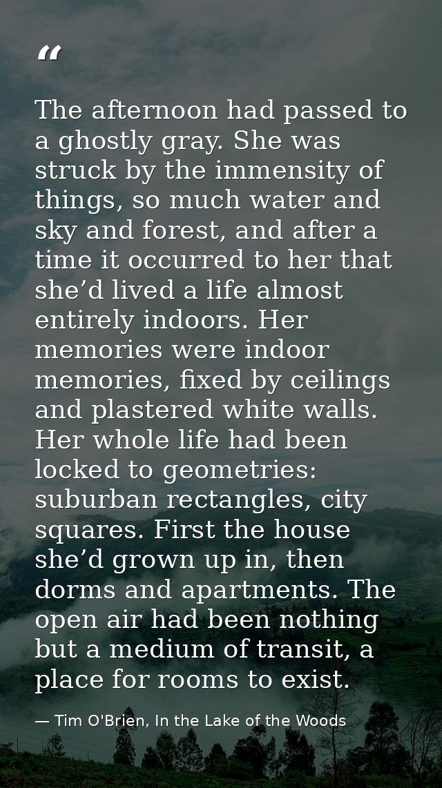 The afternoon had passed to a ghostly gray. She was struck by the immensity of things, so much water and sky and forest, — Tim O'Brien, In the Lake of the Woods