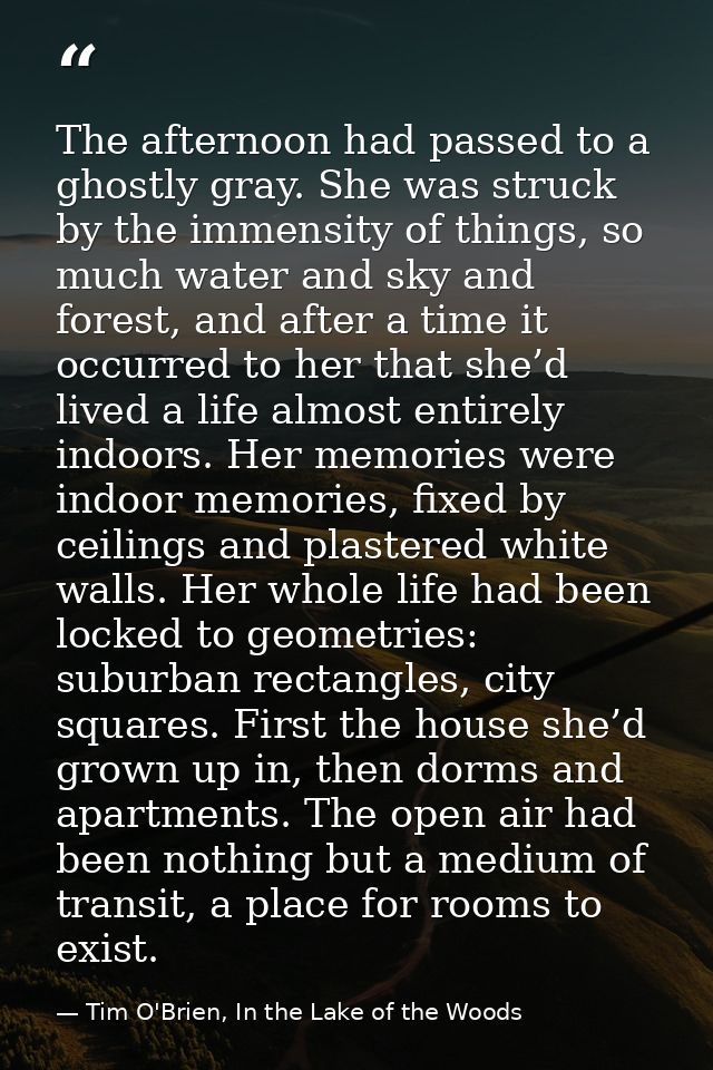 The afternoon had passed to a ghostly gray. She was struck by the immensity of things, so much water and sky and forest, — Tim O'Brien, In the Lake of the Woods