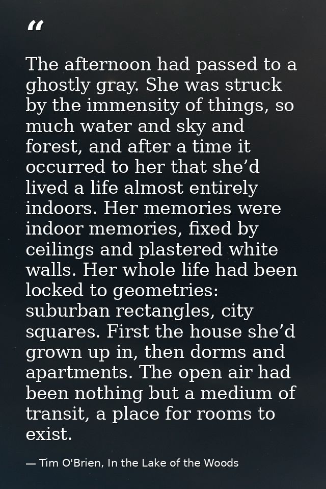 The afternoon had passed to a ghostly gray. She was struck by the immensity of things, so much water and sky and forest, — Tim O'Brien, In the Lake of the Woods