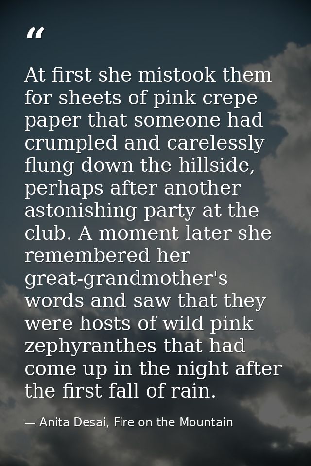 At first she mistook them for sheets of pink crepe paper that someone had crumpled and carelessly flung down the hillsid — Anita Desai, Fire on the Mountain