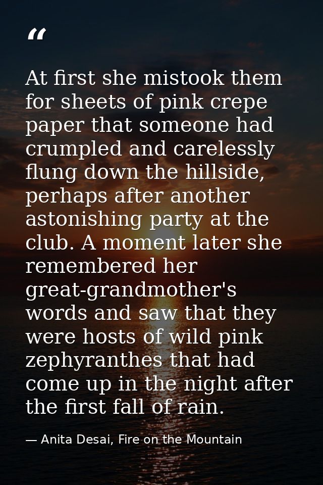 At first she mistook them for sheets of pink crepe paper that someone had crumpled and carelessly flung down the hillsid — Anita Desai, Fire on the Mountain