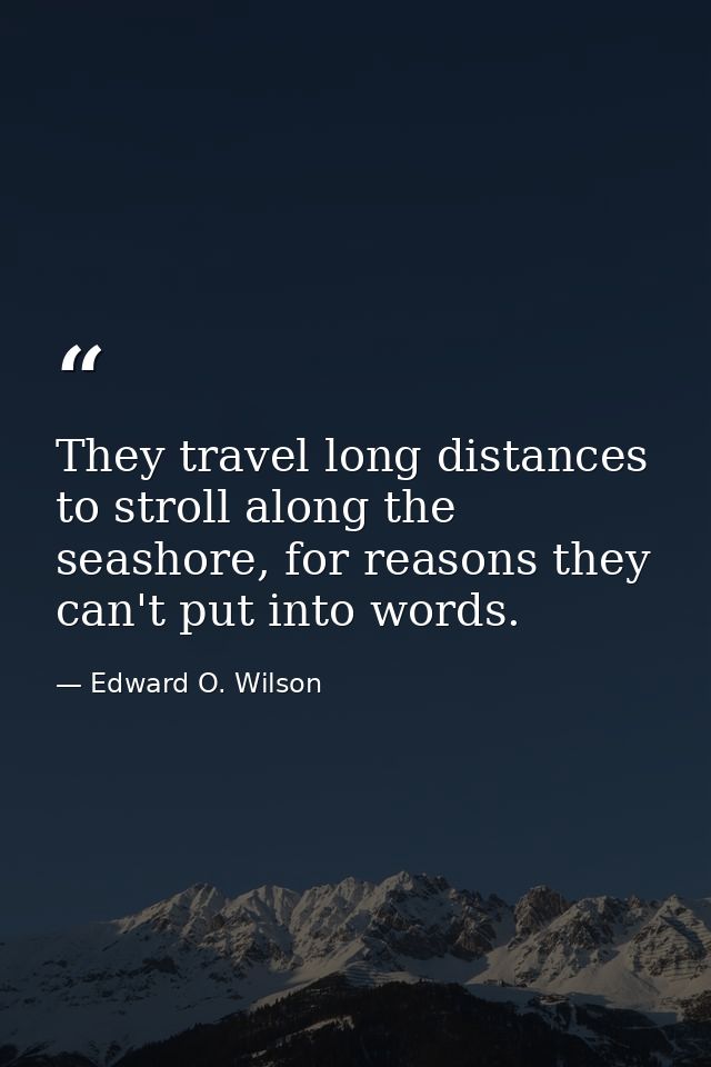 They travel long distances to stroll along the seashore, for reasons they can't put into words. — Edward O. Wilson