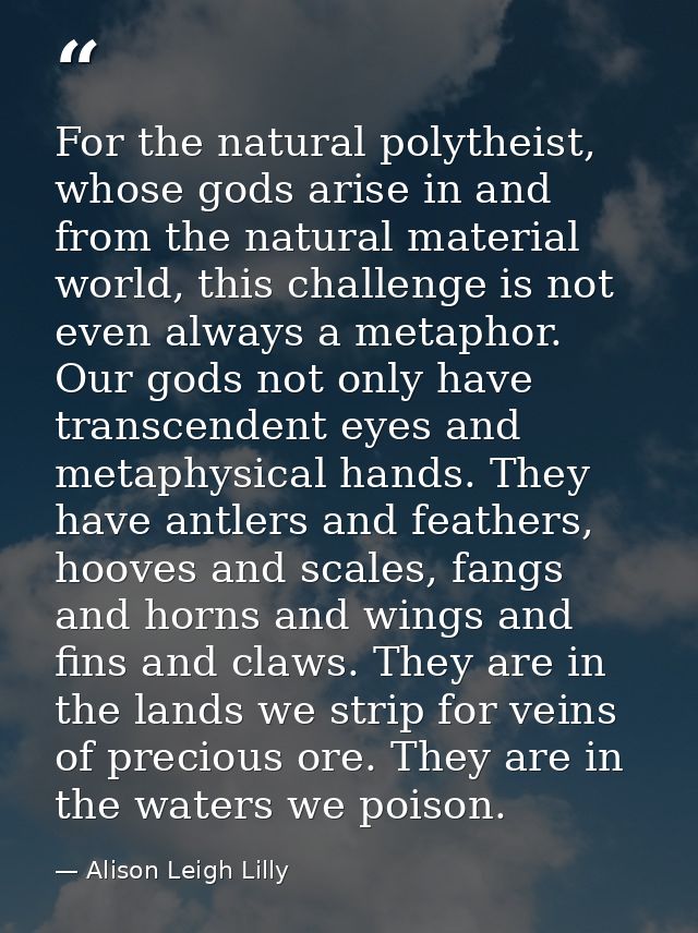 For the natural polytheist, whose gods arise in and from the natural material world, this challenge is not even always a — Alison Leigh Lilly