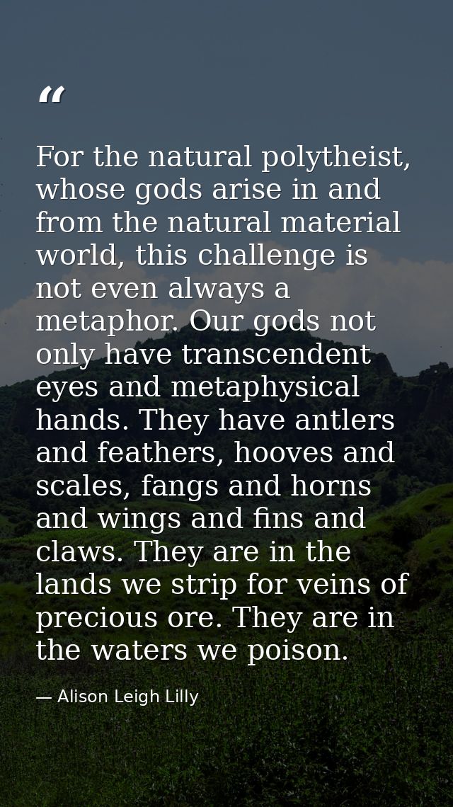 For the natural polytheist, whose gods arise in and from the natural material world, this challenge is not even always a — Alison Leigh Lilly