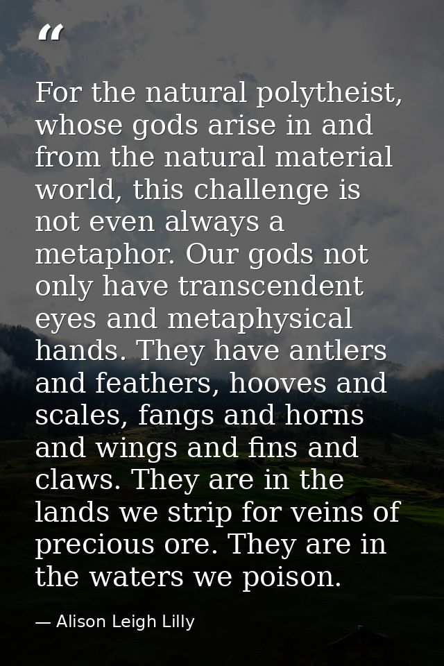For the natural polytheist, whose gods arise in and from the natural material world, this challenge is not even always a — Alison Leigh Lilly