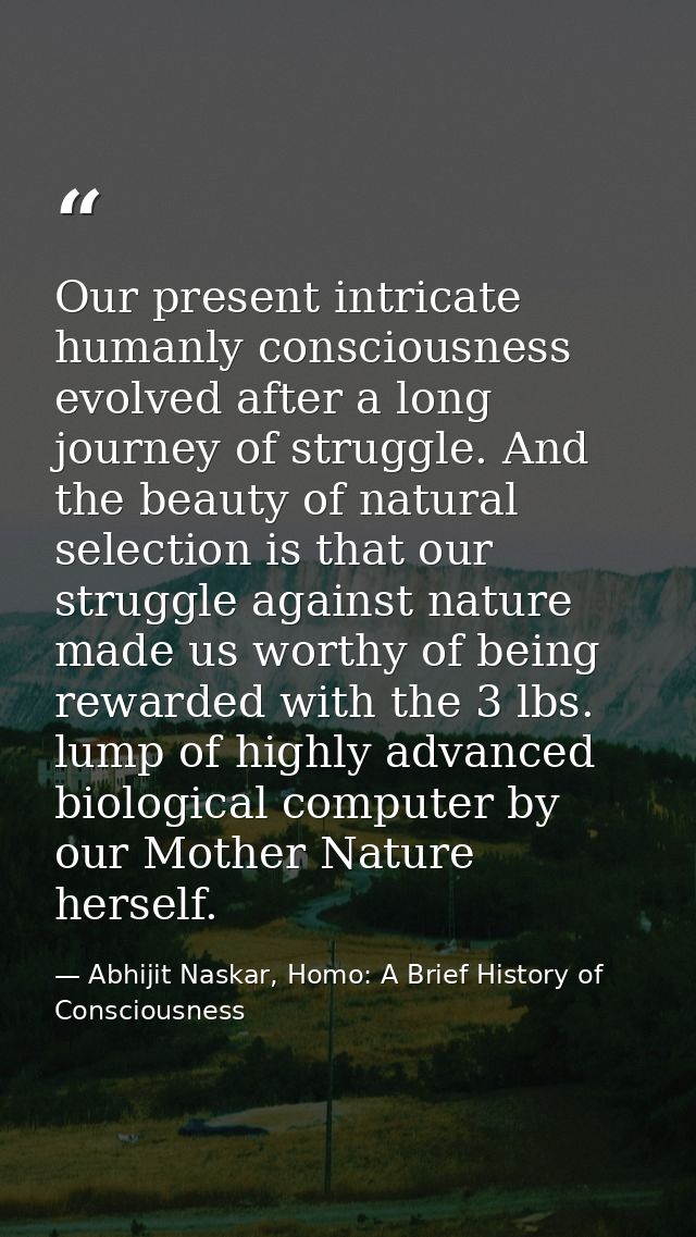 Our present intricate humanly consciousness evolved after a long journey of struggle. And the beauty of natural selectio — Abhijit Naskar, Homo: A Brief History of Consciousness