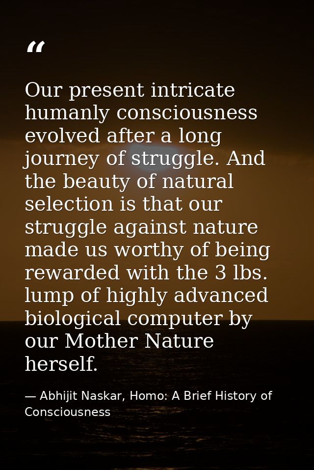Our present intricate humanly consciousness evolved after a long journey of struggle. And the beauty of natural selectio — Abhijit Naskar, Homo: A Brief History of Consciousness