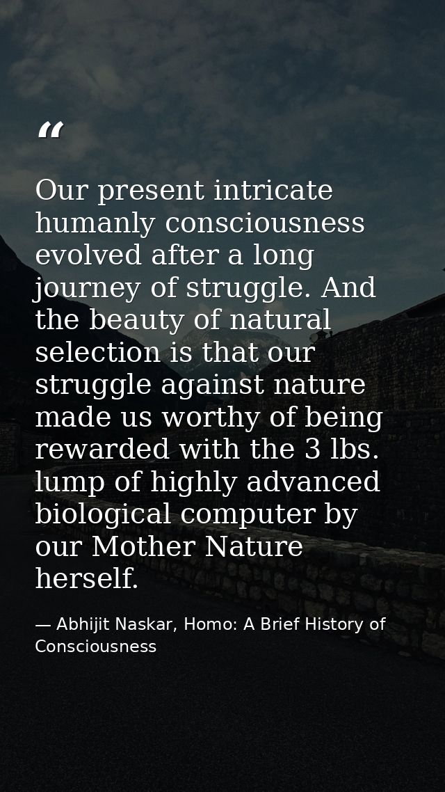 Our present intricate humanly consciousness evolved after a long journey of struggle. And the beauty of natural selectio — Abhijit Naskar, Homo: A Brief History of Consciousness