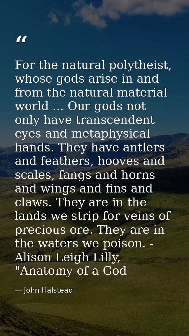 For the natural polytheist, whose gods arise in and from the natural material world ... Our gods not only have transcend — John Halstead