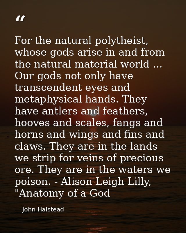 For the natural polytheist, whose gods arise in and from the natural material world ... Our gods not only have transcend — John Halstead