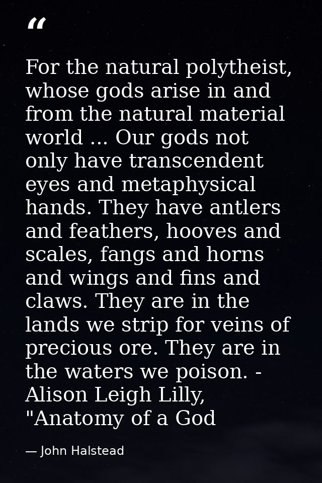 For the natural polytheist, whose gods arise in and from the natural material world ... Our gods not only have transcend — John Halstead