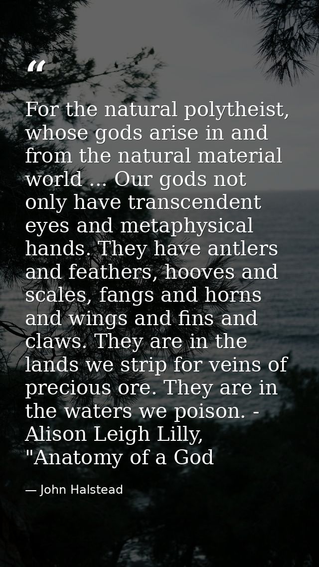For the natural polytheist, whose gods arise in and from the natural material world ... Our gods not only have transcend — John Halstead