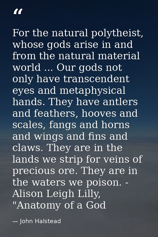 For the natural polytheist, whose gods arise in and from the natural material world ... Our gods not only have transcend — John Halstead
