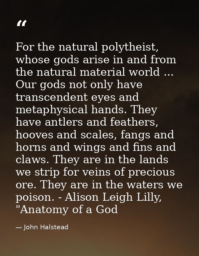 For the natural polytheist, whose gods arise in and from the natural material world ... Our gods not only have transcend — John Halstead